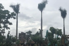 Hiện trường vụ tháo dỡ công trình vi phạm ở Ba Vì. (Ảnh: Minh Nghĩa/TTXVN)