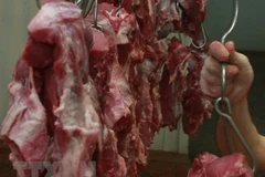 Ảnh minh họa. (Nguồn: TTXVN)