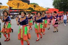 (Ảnh: Hồ Cầu/TTXVN)