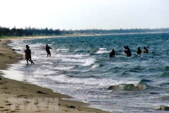 Ảnh minh họa. (Nguồn: TTXVN)