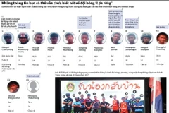 [Infographics] Những điều bạn chưa biết về đội bóng Lợn Rừng