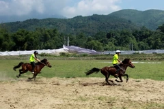 Ảnh minh họa. (Nguồn: TTXVN)