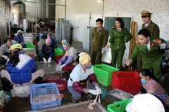 Cơ sở chế biến nội tạng do bà Đàm Việt Hà làm chủ. (Ảnh: Trịnh Duy Hưng/TTXVN)