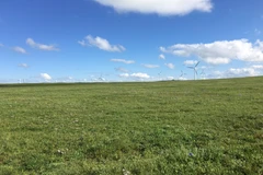 Nội Mông có những thảo nguyên và sa mạc bao la. (Ảnh: Thu Hiền/Vietnam+)