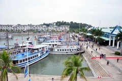 Quang cảnh Cảng tàu khách quốc tế Tuần Châu. (Ảnh: Nguyễn Hoàng/TTXVN)