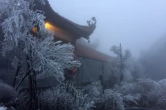 Băng giá phủ trắng trên đỉnh Fansipan vào sáng 7/4. (Ảnh: Quốc Khánh/TTXVN)