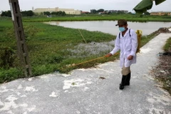  Cán bộ thú y phun khử trùng khu vực có đàn gia cầm bị nhiễm cúm A/H5N6 tại xã An Hồng, An Dương, Hải Phòng. (Ảnh: Minh Thu/TTXVN)