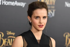 Emma Watson. (Nguồn: Rte.ie)