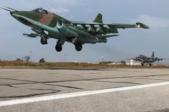 Máy bay Su-25. (Nguồn: UPA)