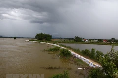 Đoạn đê tả sông Bùi được gia cố bao cát ngày 31/7. (Ảnh: Minh Quyết/TTXVN)