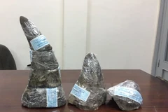 Tang vật một vụ buôn lậu sừng tê giác. (Ảnh minh họa. Nguồn: TTXVN)