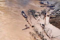 Người dân chấp nguy hiểm ra sông vớt củi, gỗ. (Ảnh: Nguyễn Nam/TTXVN)