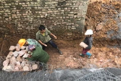 Chiều 16/8, các lực lượng chức năng huyện Chương Mỹ (Hà Nội) đang khẩn trương gia cố điểm xung yếu mới phát sinh tại chân đê Hữu Bùi, đoạn Yên Trình-Nhân Lý, xã Hoàng Văn Thụ. (Ảnh: Minh Nghĩa/TTXVN)