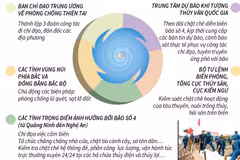 [Infographics] Chủ động triển khai biện pháp ứng phó với bão số 4