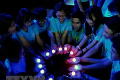 Ảnh minh họa. (Nguồn: TTXVN)