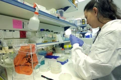 Nhà nghiên cứu tại Viện Khoa học Weizmman. (Nguồn: Vietnam+)