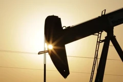 Ảnh minh họa. (Nguồn: AP) 