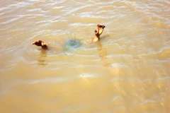 Đắk Lắk: Hai mẹ con bị đuối nước khi đi giặt quần áo ở ao