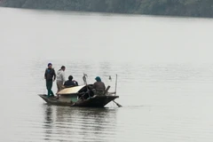 Ảnh minh họa. (Nguồn: TTXVN)