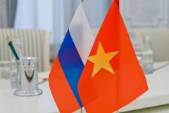 Ảnh minh họa. (Nguồn: IIB)