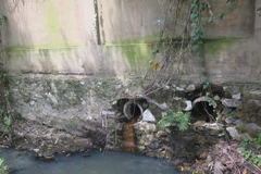 Ảnh minh họa. (Nguồn: TTXVN)