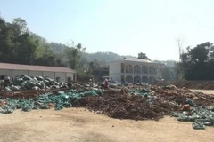 Phía trong Nhà máy chế biến tinh bột sắn Của công ty cổ phần tinh bột Hồng Diệp- Điện Biên. (Ảnh: Xuân Tiến/TTXVN)