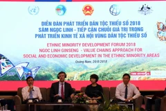 Các đại biểu thảo luận tại diễn đàn. (Ảnh Trần Tĩnh/TTXVN)