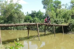 Một cây cầu tạm ở xã Hải Quy, huyện Hải Lăng, tỉnh Quảng Trị. (Ảnh: Thanh Thủy/TTXVN)