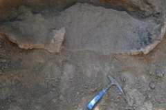 Hóa thạch của thú răng chạm được phát hiện tại Carmelo. (Nguồn: MEC)