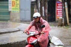 Ảnh minh họa. (Nguồn: Vietnam+)