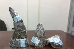 (Ảnh minh họa: TTXVN)