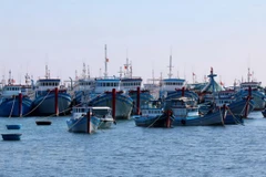 Đội tàu đánh bắt xa bờ của huyện đảo Phú Quý. (Ảnh : Nguyễn Thanh/TTXVN)