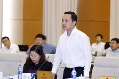 Thứ trưởng Bộ Tư pháp Trần Tiến Dũng. (Ảnh: An Đăng/TTXVN)