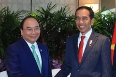 Thủ tướng Nguyễn Xuân Phúc hội kiến Tổng thống Indonesia Joko Widodo. (Ảnh: Thống Nhất/TTXVN)
