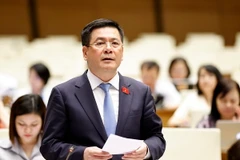 Bộ trưởng Bộ Công Thương Nguyễn Hồng Diên trả lời chất vấn. (Ảnh: Doãn Tấn/TTXVN)