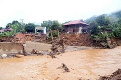 Mưa lũ ở huyện Mai Sơn, Tuyên Quang. (Ảnh: Quang Quyết/TTXVN)