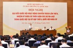 Phó Chủ tịch Quốc hội Nguyễn Đức Hải điều hành phiên họp. (Ảnh: Doãn Tấn/TTXVN)