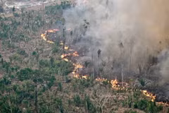 Khói bốc lên từ đám cháy rừng tại Labrea, bang Amazonas, Brazil. (Ảnh: Getty Images/TTXVN)