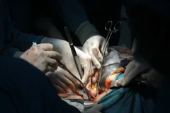 Ảnh chỉ có tính minh họa. (Ảnh: Duy Khương/TTXVN)