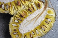 Ảnh chỉ có tính minh họa. (Nguồn: techinsider.io)