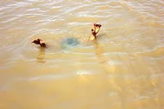 Long An: Rủ nhau đi bơi, hai anh em sinh đôi chết đuối thương tâm