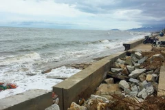 Ảnh chỉ có tính minh họa. (Ảnh: Đức Ánh/TTXVN)