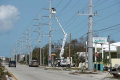 Sửa chữa mạng lưới điện bị phá hủy sau bão Irma ở Marathon, Florida, Mỹ ngày 12/9. (Nguồn: AFP/TTXVN)