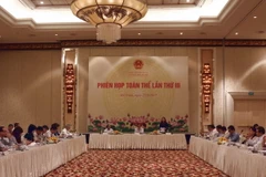 (Ảnh: Đoàn Mạnh Dương/TTXVN)