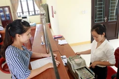 (Ảnh minh họa: Hoàng Hùng/TTXVN)