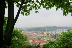 (Nguồn: the-wild-life.com)