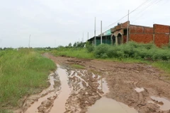 (Ảnh minh họa: Huỳnh Sử/TTXVN)