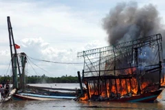 (Ảnh minh họa: Tá Chuyên/TTXVN)