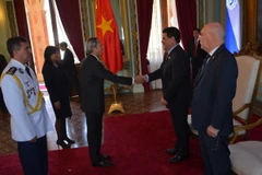 Đại sứ Đặng Xuân Dũng đã trình quốc thư lên Tổng thống Paraguay Horacio Cartes. (Nguồn ảnh: Đại sứ quán Việt Nam tại Argentina cung cấp)