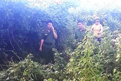 Bắt giữ nghi phạm gây ra vụ cưỡng hiếp, sát hại trẻ em ở Gia Lai 